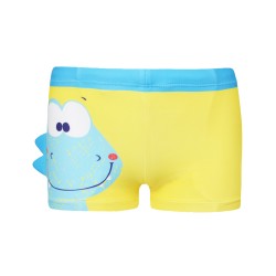 Μαγιώ μπόξερ τύπωμα δεινόσαυρος Μαγιώ μπόξερ τύπωμα δεινόσαυρος