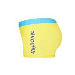 Μαγιώ μπόξερ τύπωμα δεινόσαυρος Μαγιώ μπόξερ τύπωμα δεινόσαυρος